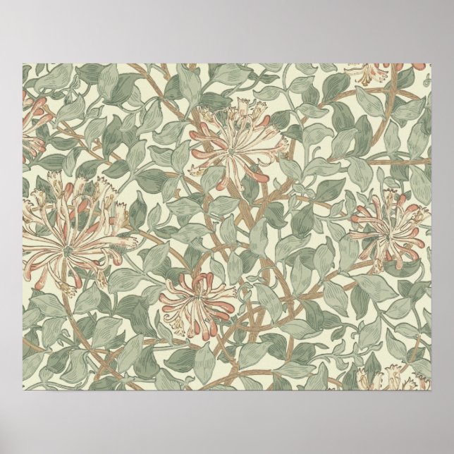 Poster William Morris Honeysuckle Flower Wallpaper (Devant)