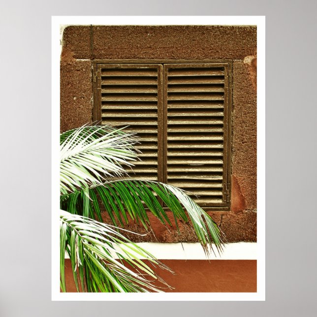 Poster Windows (Portugal) (Devant)