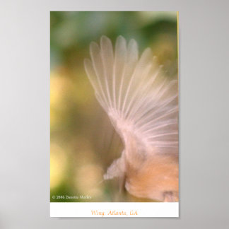 Poster Wing