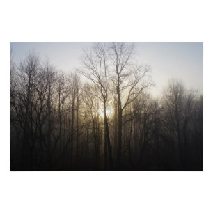 Poster Winter Fog Sunrise Nature Photographie