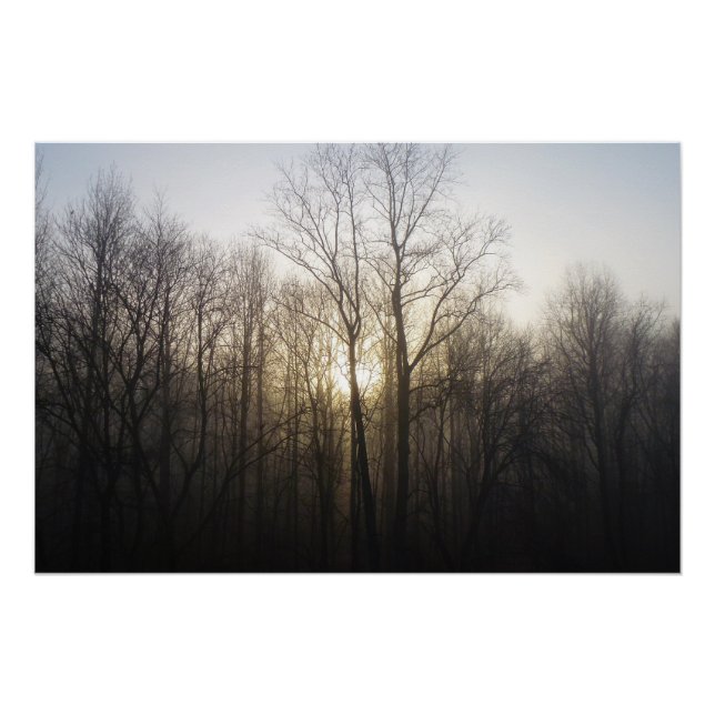 Poster Winter Fog Sunrise Nature Photographie (Devant)