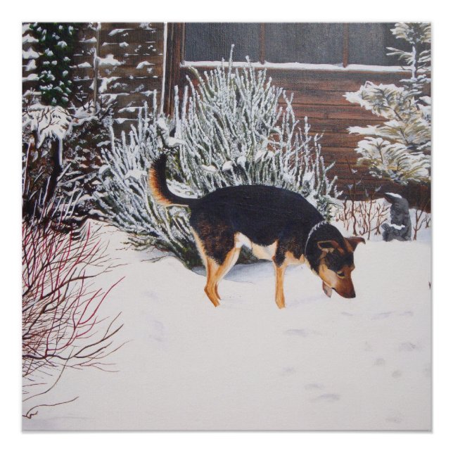 Poster Winter snow scene with cute black and tan dog (Devant)