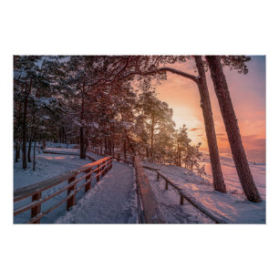 Poster Winter sunset in pine forest near sea