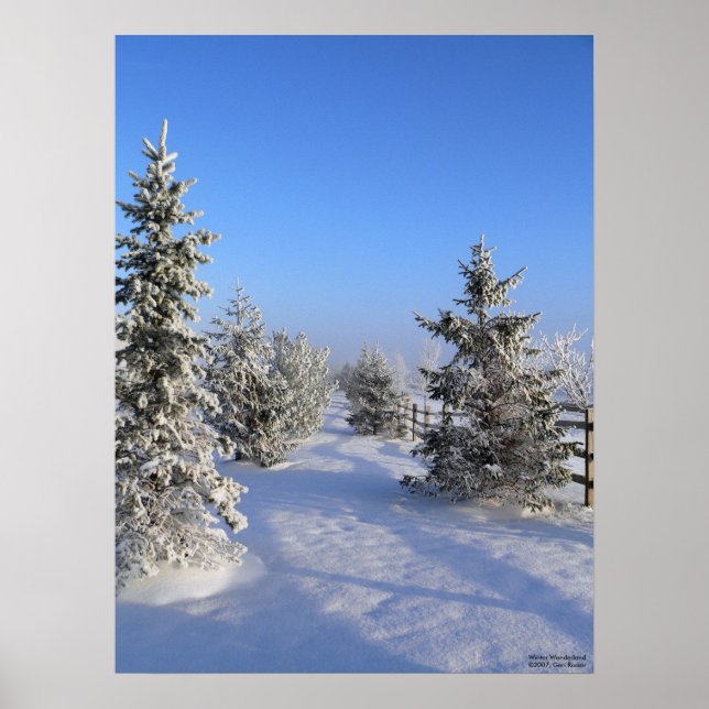 Poster Winter Wonderland (Devant)