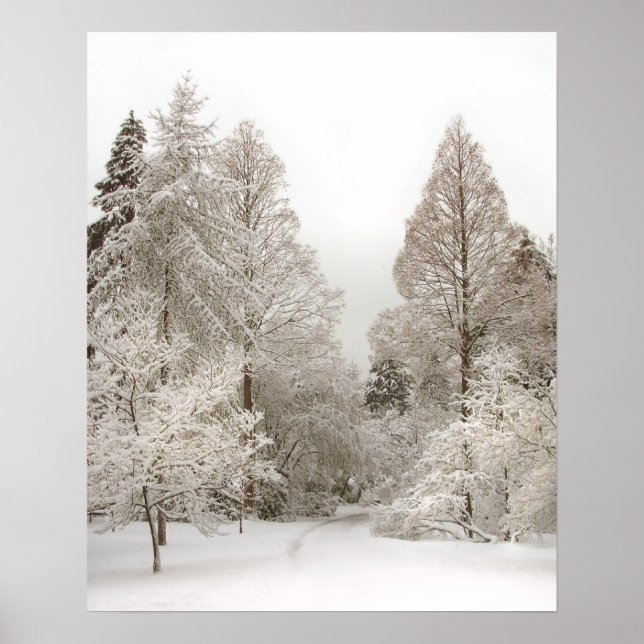 Poster Winter Wonderland Winter Vancouver Imprimer (Devant)