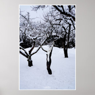 Poster Winterland by Johannes Stötter