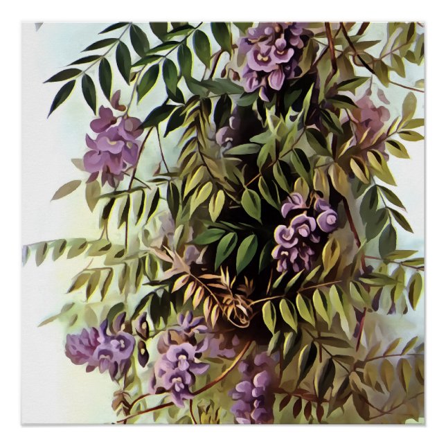 Poster Wisteria Frutescens peinture d'art botanique (Devant)