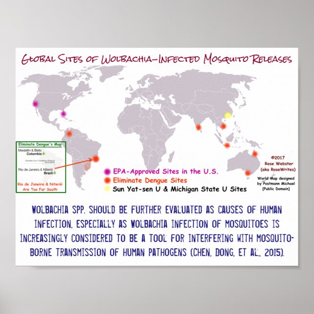 Poster Wolbachia et infection humaine par RoseWrites (Devant)