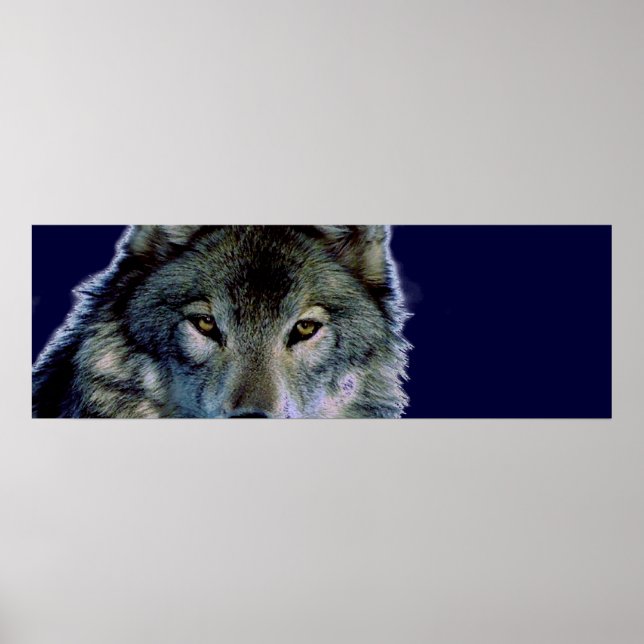 Poster Wolf Eyes (Devant)