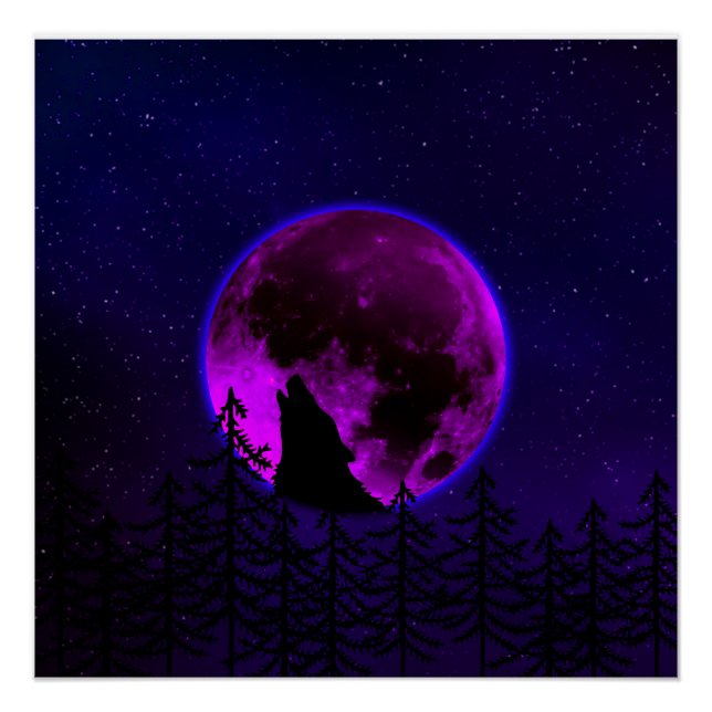 POSTER WOLF HOWLING LUNE MAGENTA (Devant)