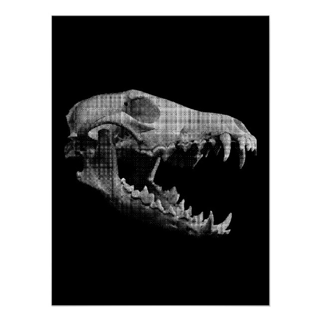 Poster Wolf skull (Devant)