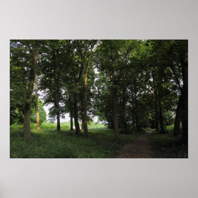 Poster Wood, Bute Park Cardiff (Devant)