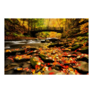 Poster Wooden Bridge and Creek