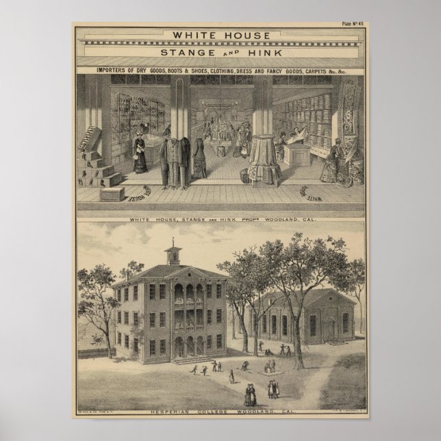 Poster Woodland store, college (Devant)