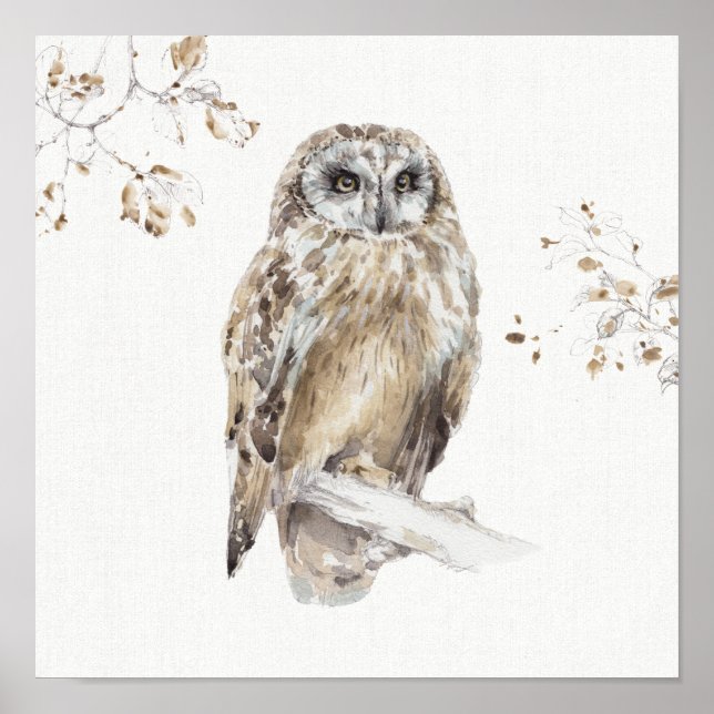 Poster Woodland Walk (Devant)