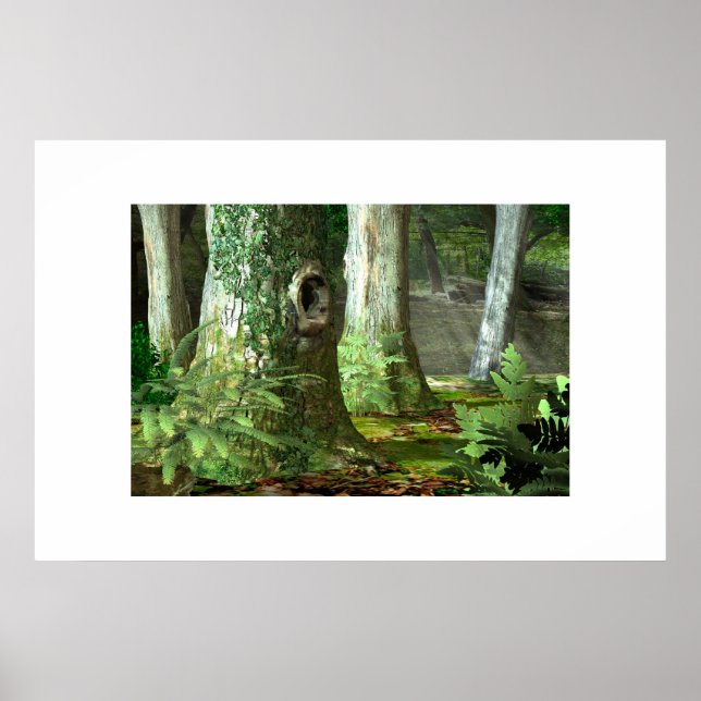 Poster Woodlands anglais (Devant)