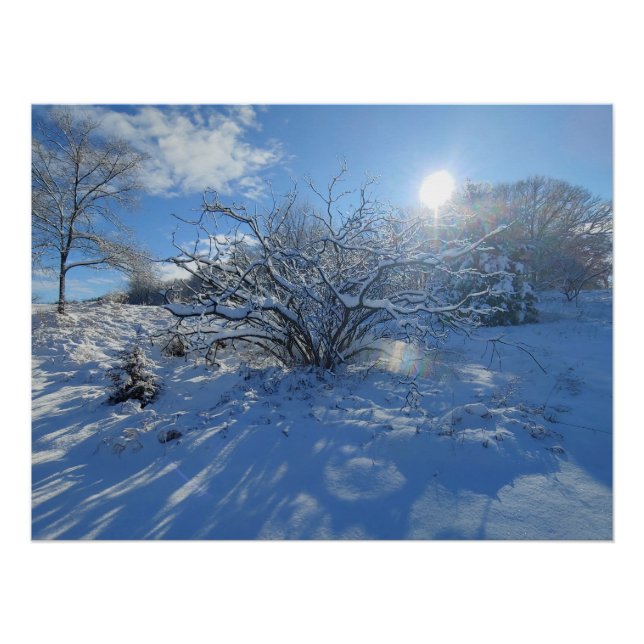 Poster Wow est l'Hiver du Contenu d'Artiste (Devant)