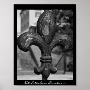 Poster Wrought Iron Fleur de lis Natchitoches