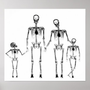 POSTER - X RAY SKELETON FAMILLE NOIR & BLANC
