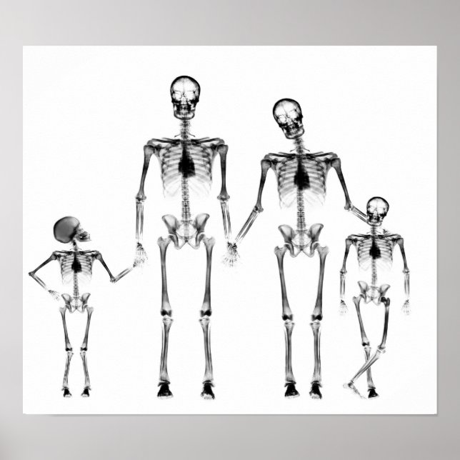POSTER - X RAY SKELETON FAMILLE NOIR & BLANC (Devant)