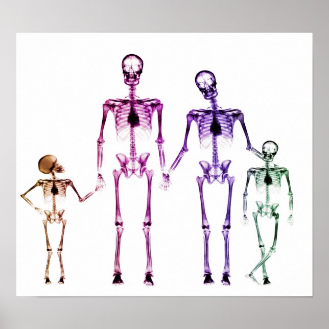 POSTER - X RAY SKELETON FAMILLE ORIGINAL BLANC (Devant)