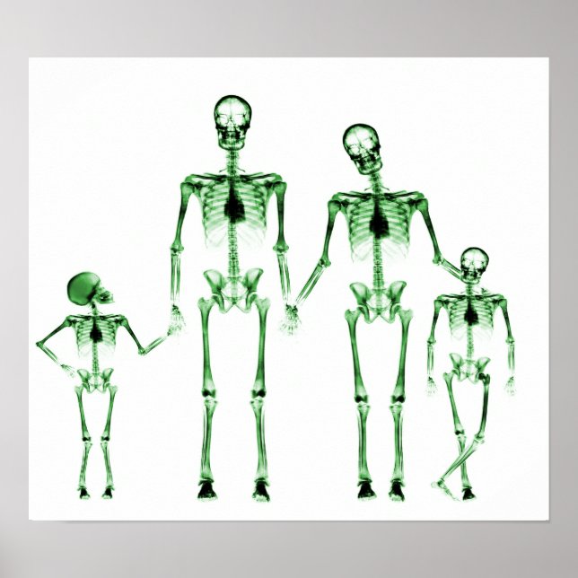 POSTER - X RAY SKELETON FAMILLE VERT BLANC DE LA F (Devant)