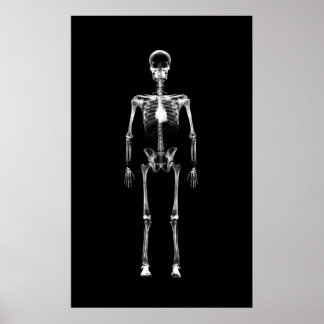 Poster - X-Ray Vision Single Skeleton Black White