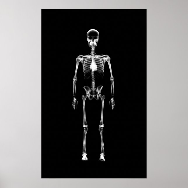 Poster - X-Ray Vision Single Skeleton Black White (Devant)