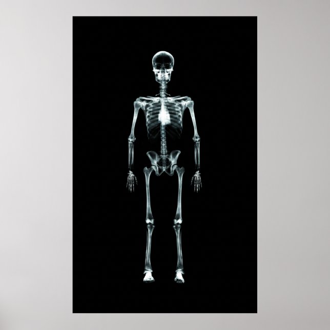 Poster - X-Ray Vision Single Skeleton Original (Devant)