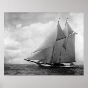 Poster Yacht America c1910