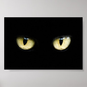 Poster Yeux de chat