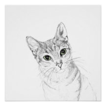 Yeux de chat Un dessin au crayon