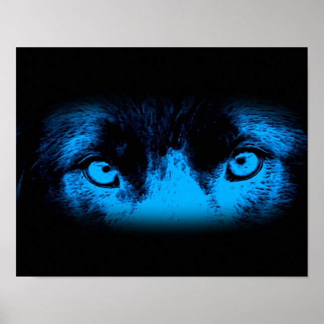 Poster Yeux de chien intenses en bleu (Devant)