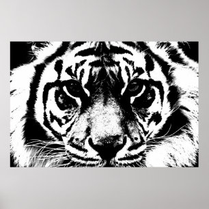 Poster Yeux de tigres noirs et blancs