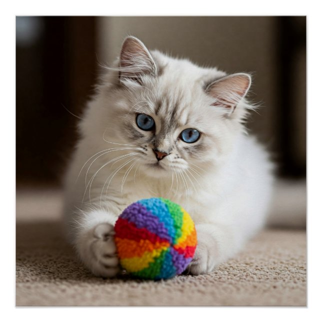 Poster Yeux saphir et amusant coloré (Devant)