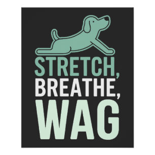 Poster Yoga Doga Chien Bien-être Animal Étirement Conscie
