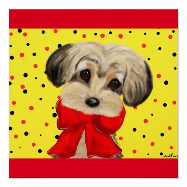 Poster Yorkie Poo (Devant)