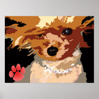 Poster Yorkie Supermodel