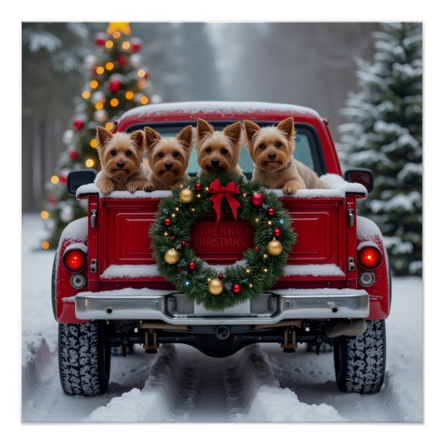 Poster Yorkshire Terrier Christmas Red Truck Holiday Gift (Devant)