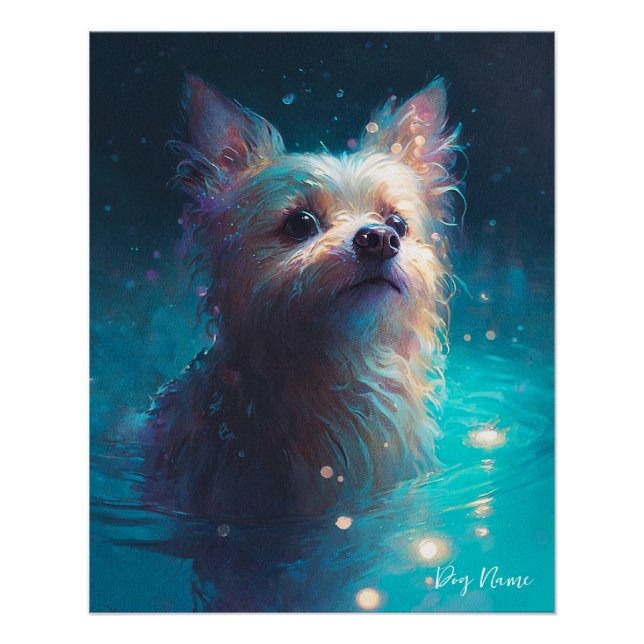 Poster Yorkshire Terrier dog swimming in water 005 (Devant)