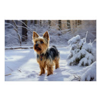 Yorkshire Terrier Laissez-le Neiger Noël