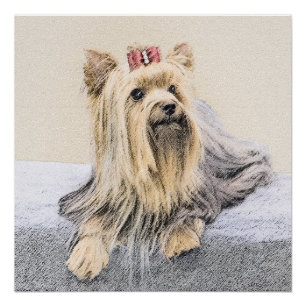Poster Yorkshire Terrier Peinture - Cute Original Chien A