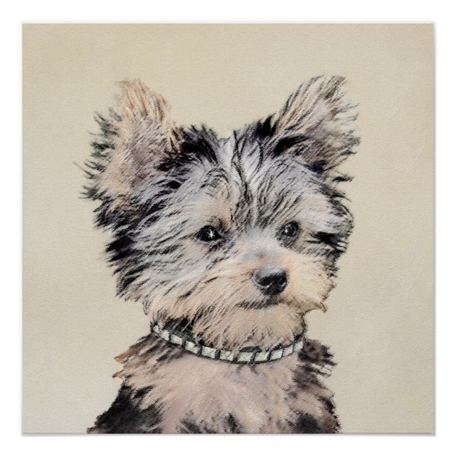 Poster Yorkshire Terrier Puppy Peinture Chien original (Devant)