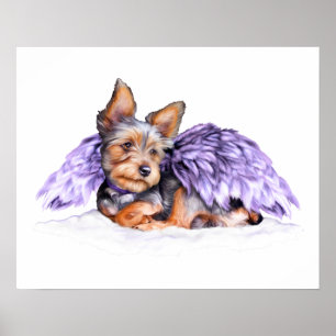 Poster Yorkshire Terrier Yorkie Angel