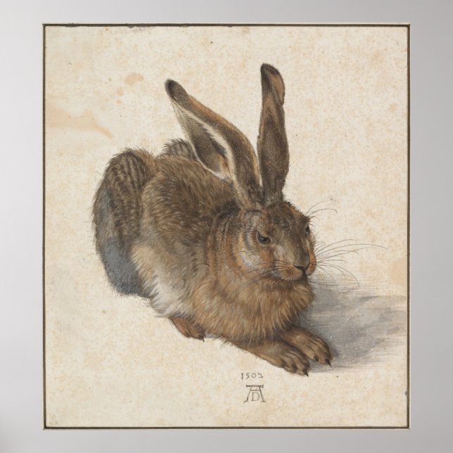 Poster Young Hare by Albrecht Durer (Devant)