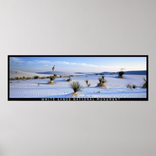 Poster Yucca Panorama