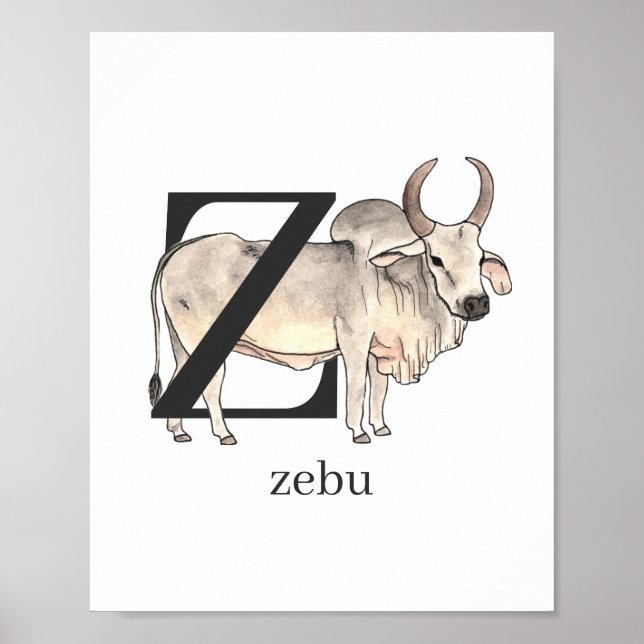 Poster Z pour Zebu (Devant)