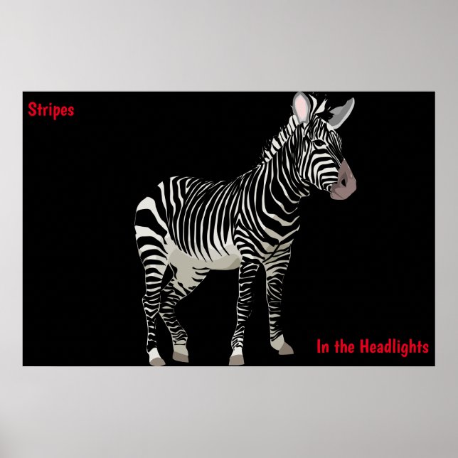 Poster Zebra (Devant)
