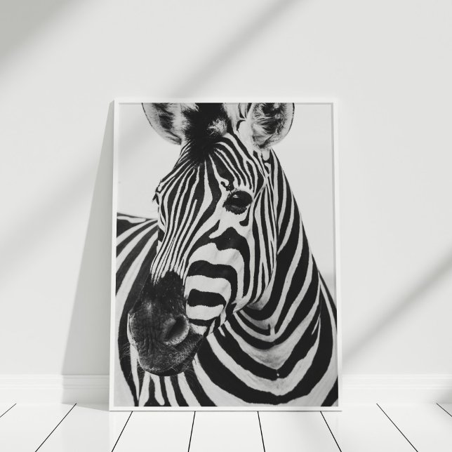 Poster Zebra (Black and White Zebra Poster in a white frame.)