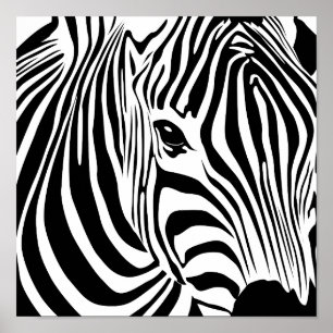 Poster Zebra